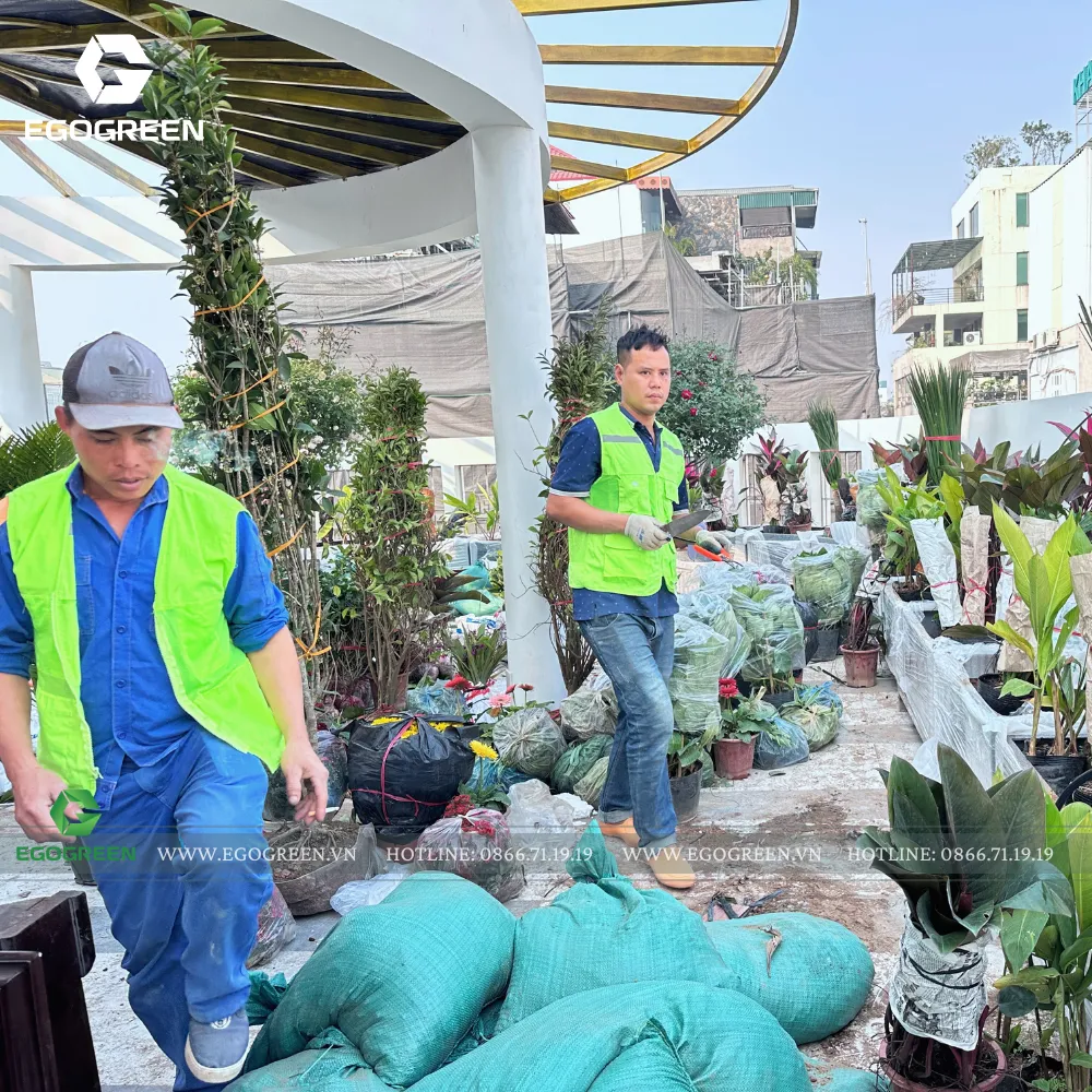 Sân vườn là 1 hệ sinh thái tiêu tốn nguồn lực không nhỏ.